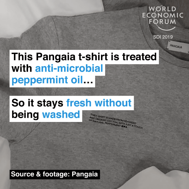 Pangaia（品牌）的這款T恤采用抗菌薄荷油處理，因此不洗也可以保持干凈