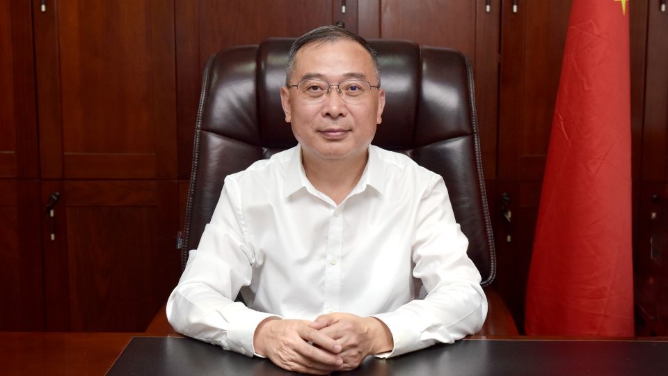 Prof. Hongwu Tang